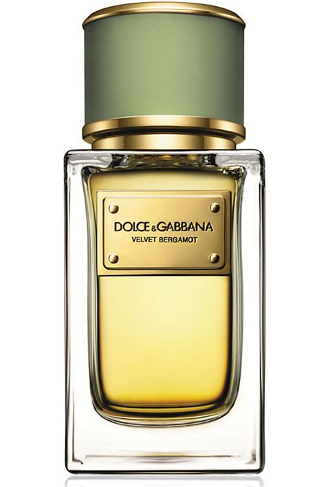 dolce gabbana new perfume mens